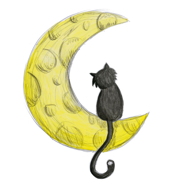 Cat and Cookies, photo 2