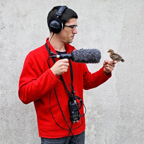 BigSoundBank, photo 2