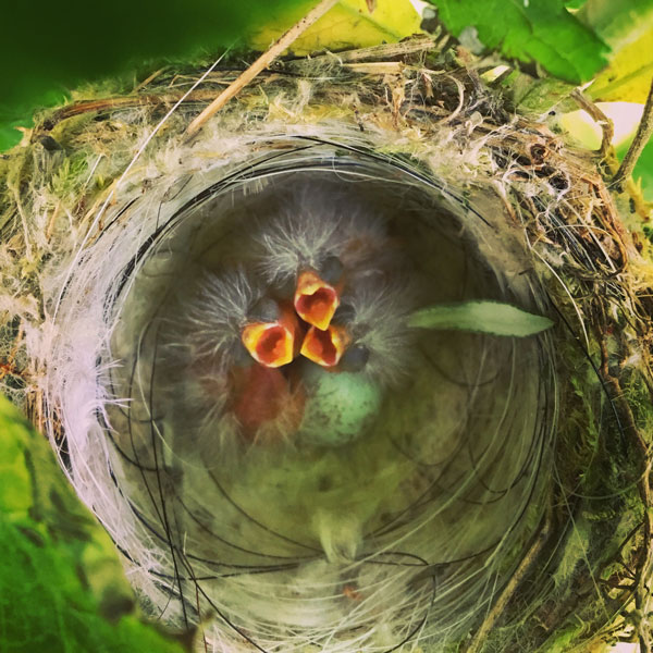 Photographie, photo 1