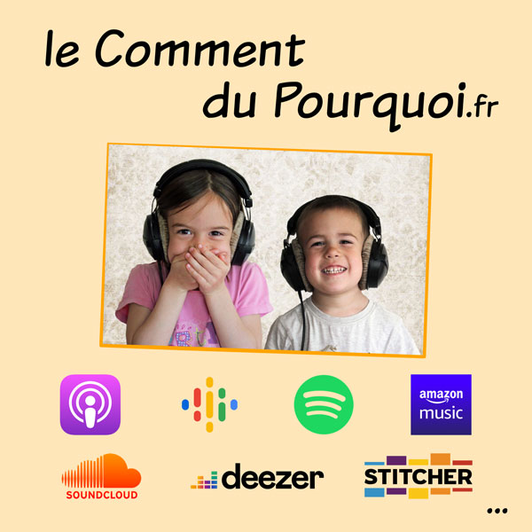 Podcast "Le Comment Du Pourquoi", photo 2
